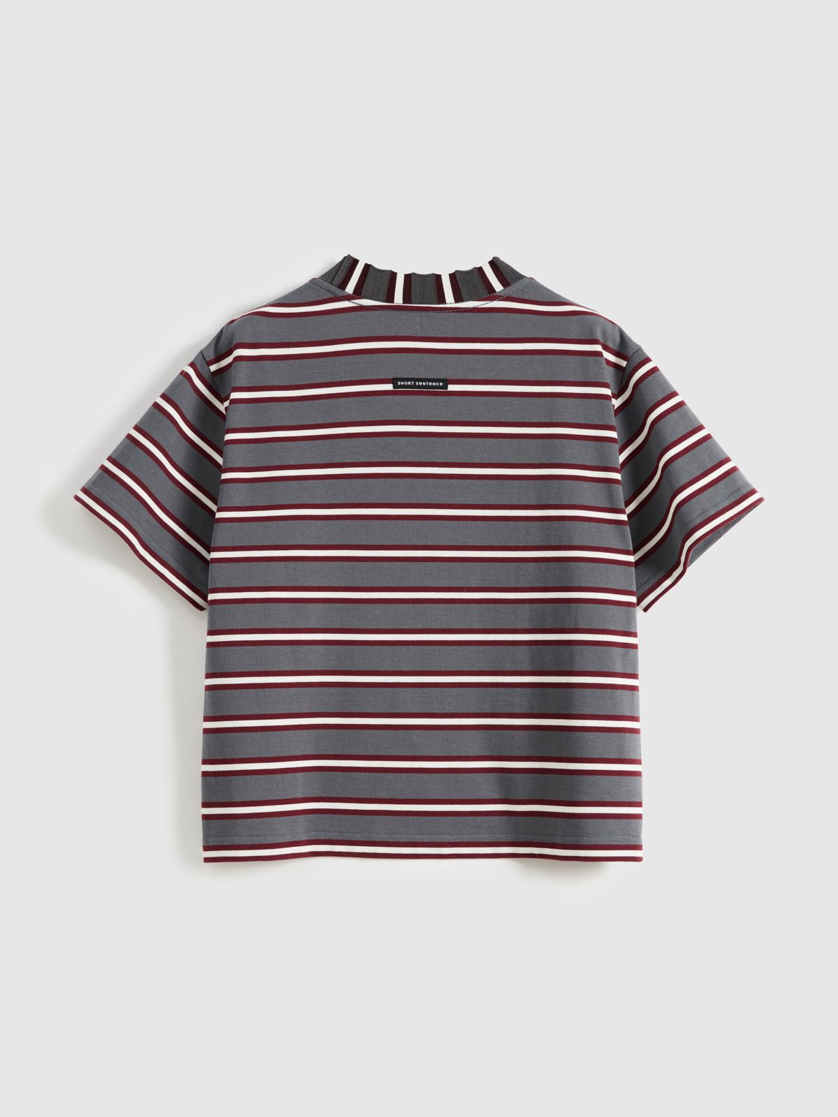 contrast-stripe-boxy-tee-1-image_back.jpg