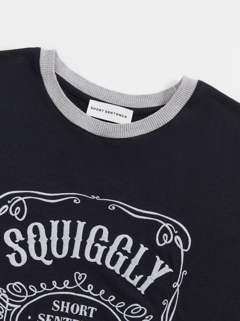 Loose-Fit Color-Block Embroidered T-Shirt