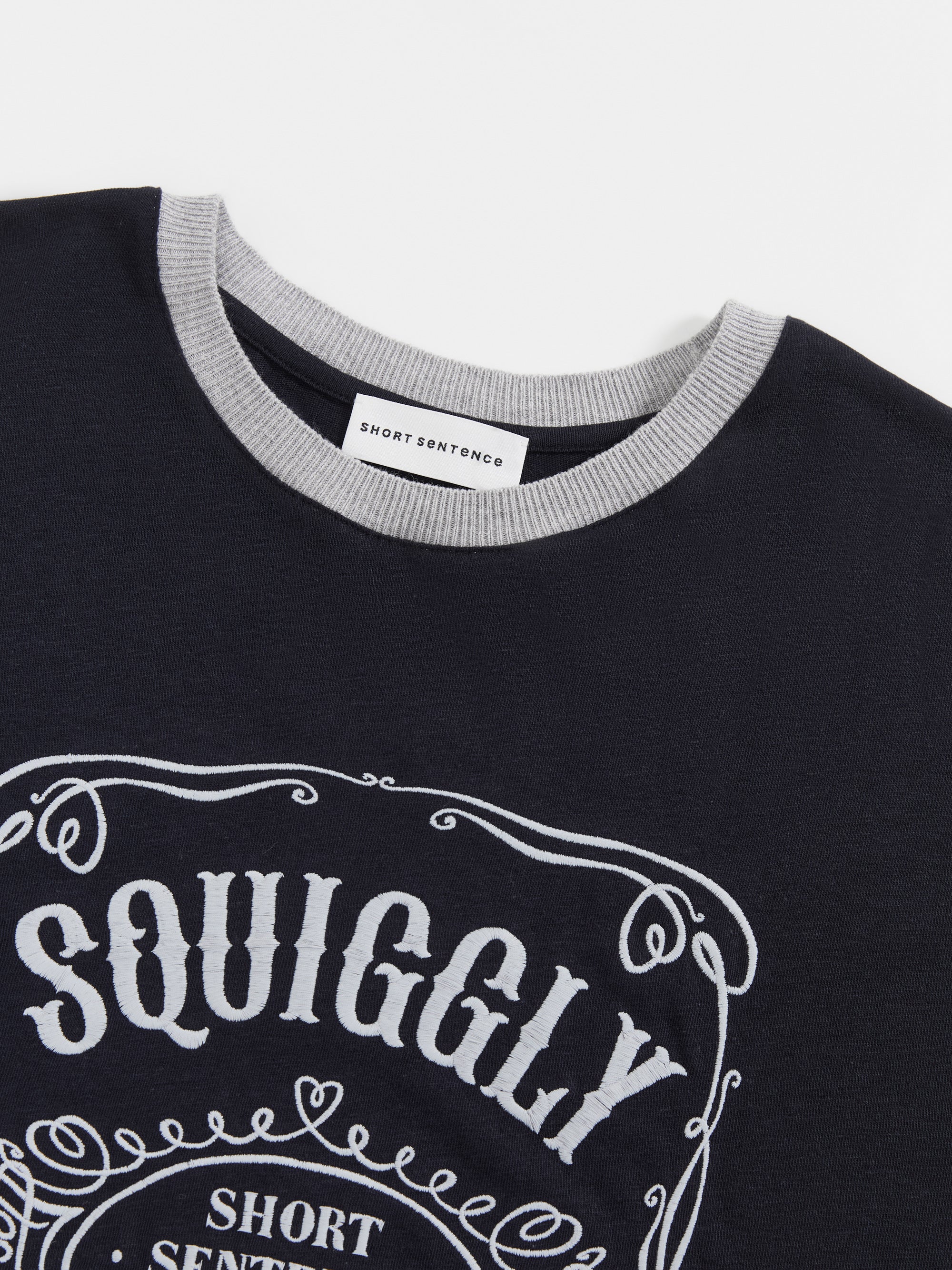 Loose-Fit Color-Block Embroidered T-Shirt