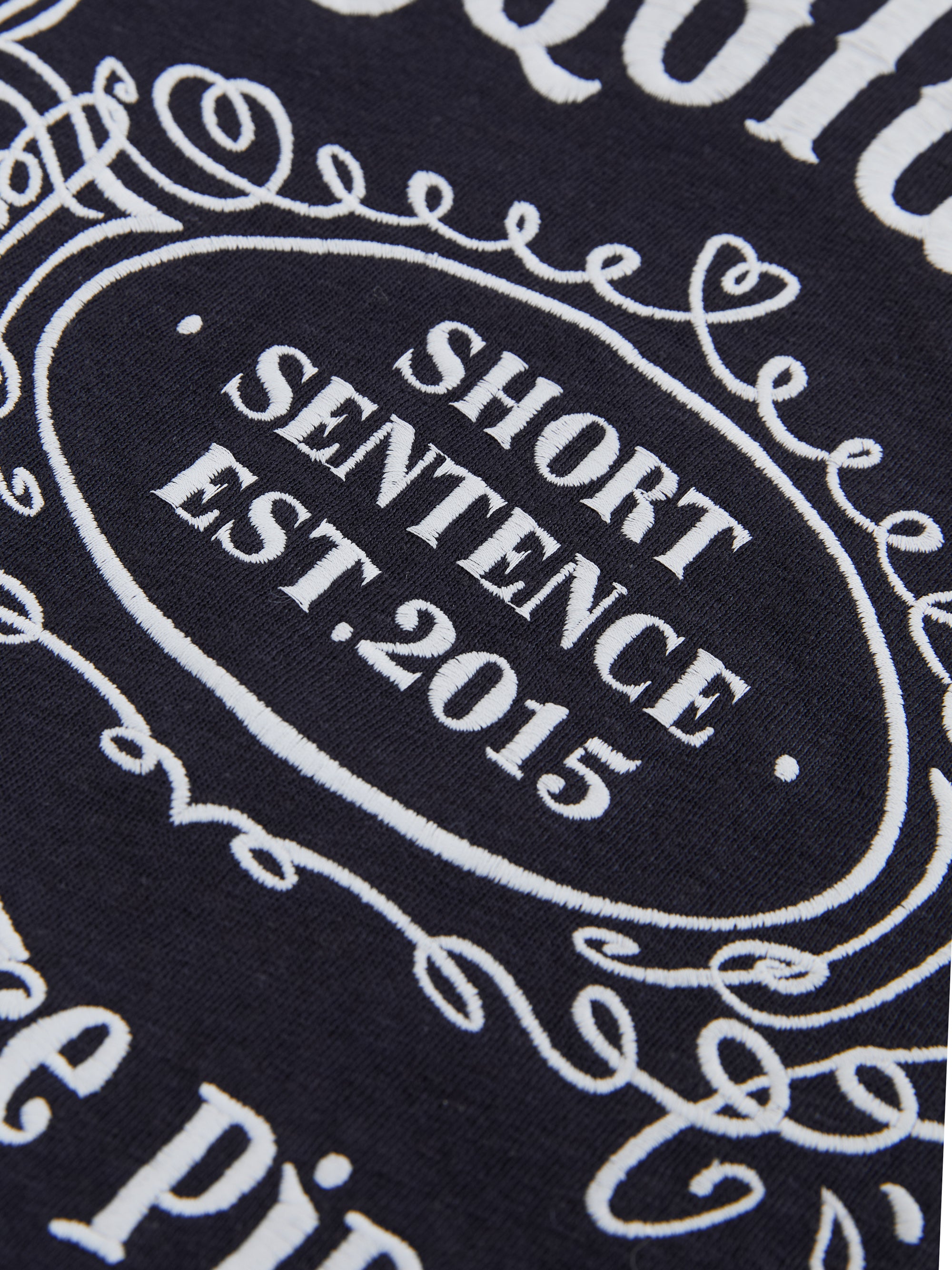 Loose-Fit Color-Block Embroidered T-Shirt