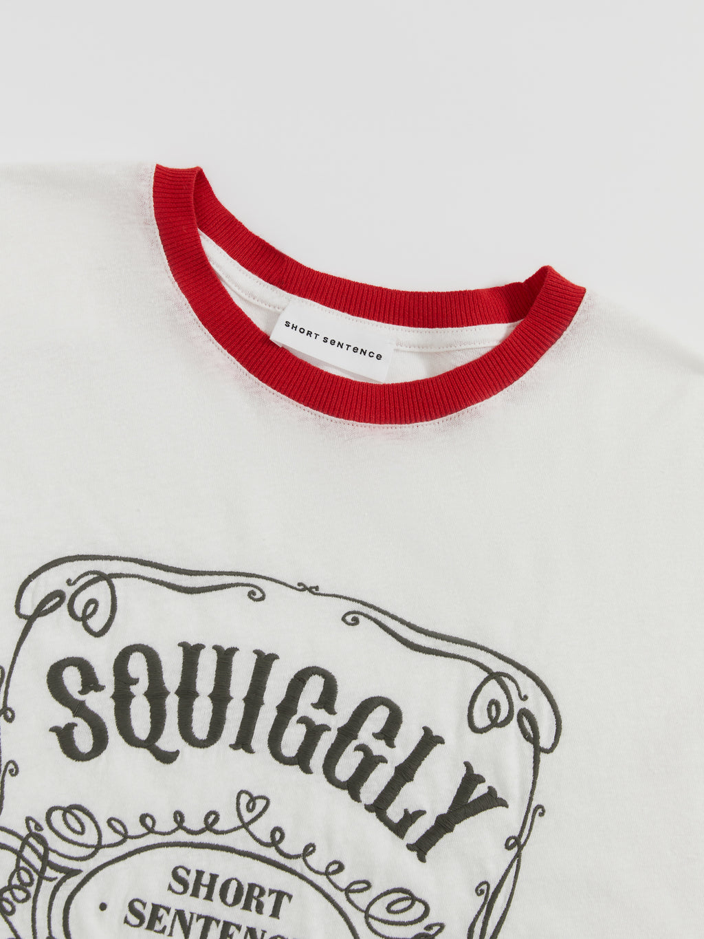 Loose-Fit Color-Block Embroidered T-Shirt