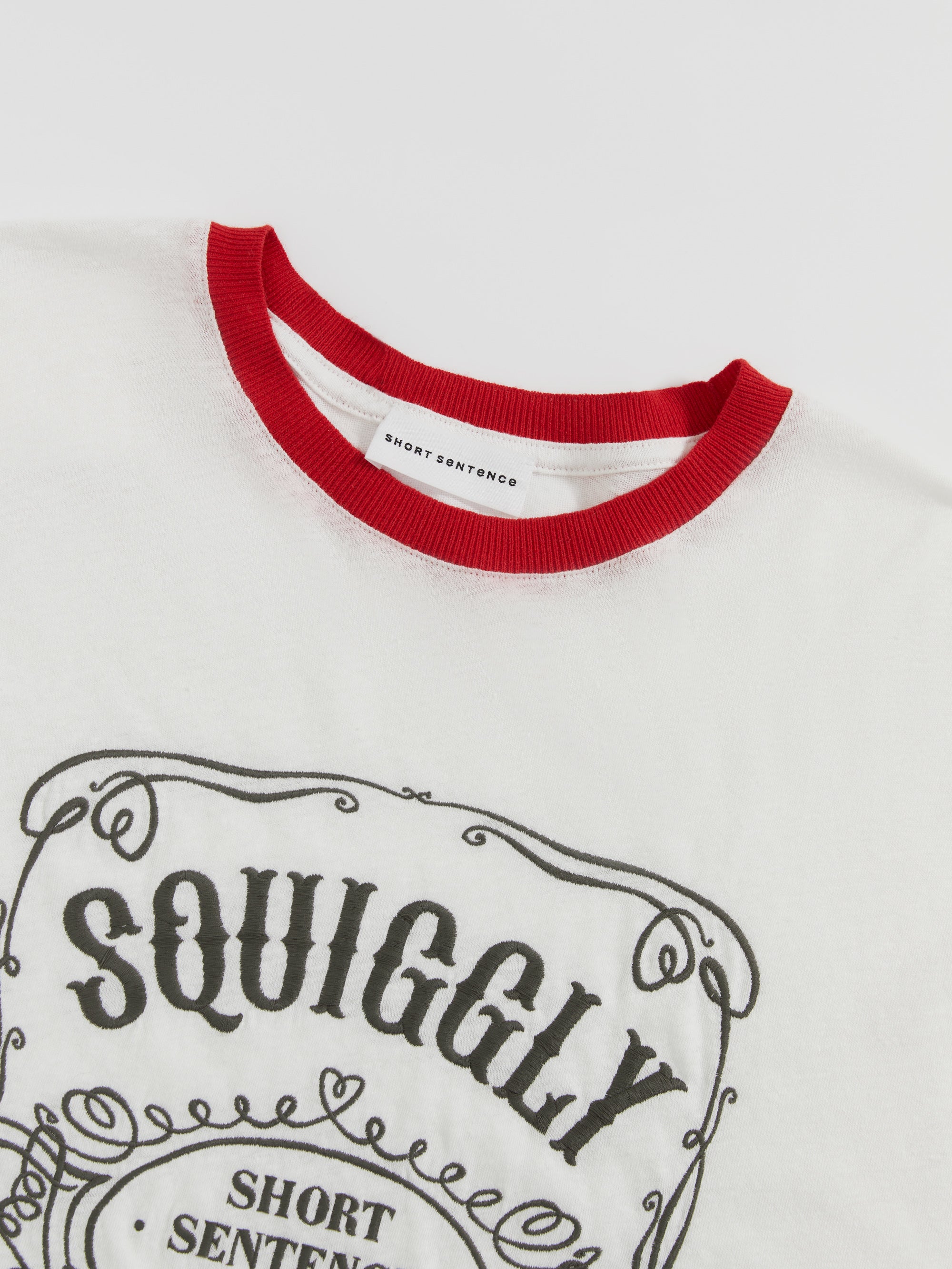 Loose-Fit Color-Block Embroidered T-Shirt
