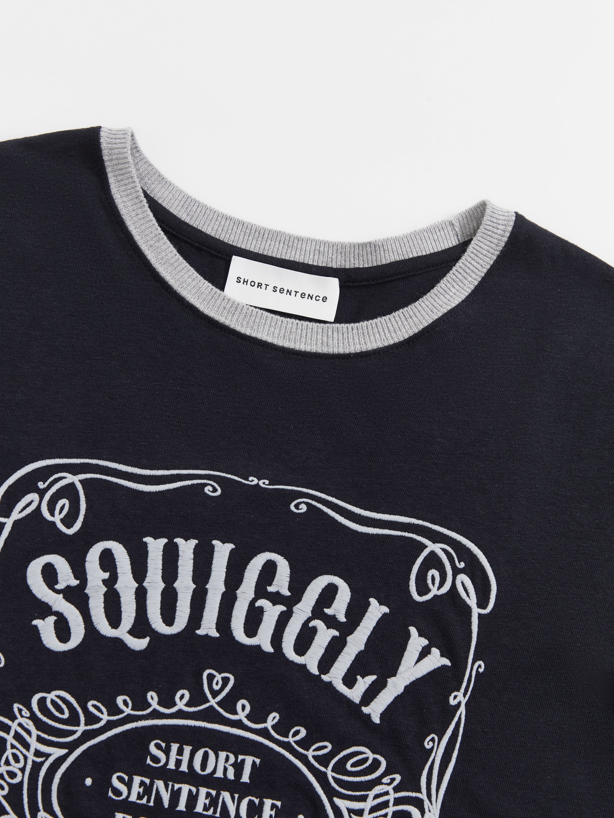Color-Block Collar Fitted Embroidered T-Shirt