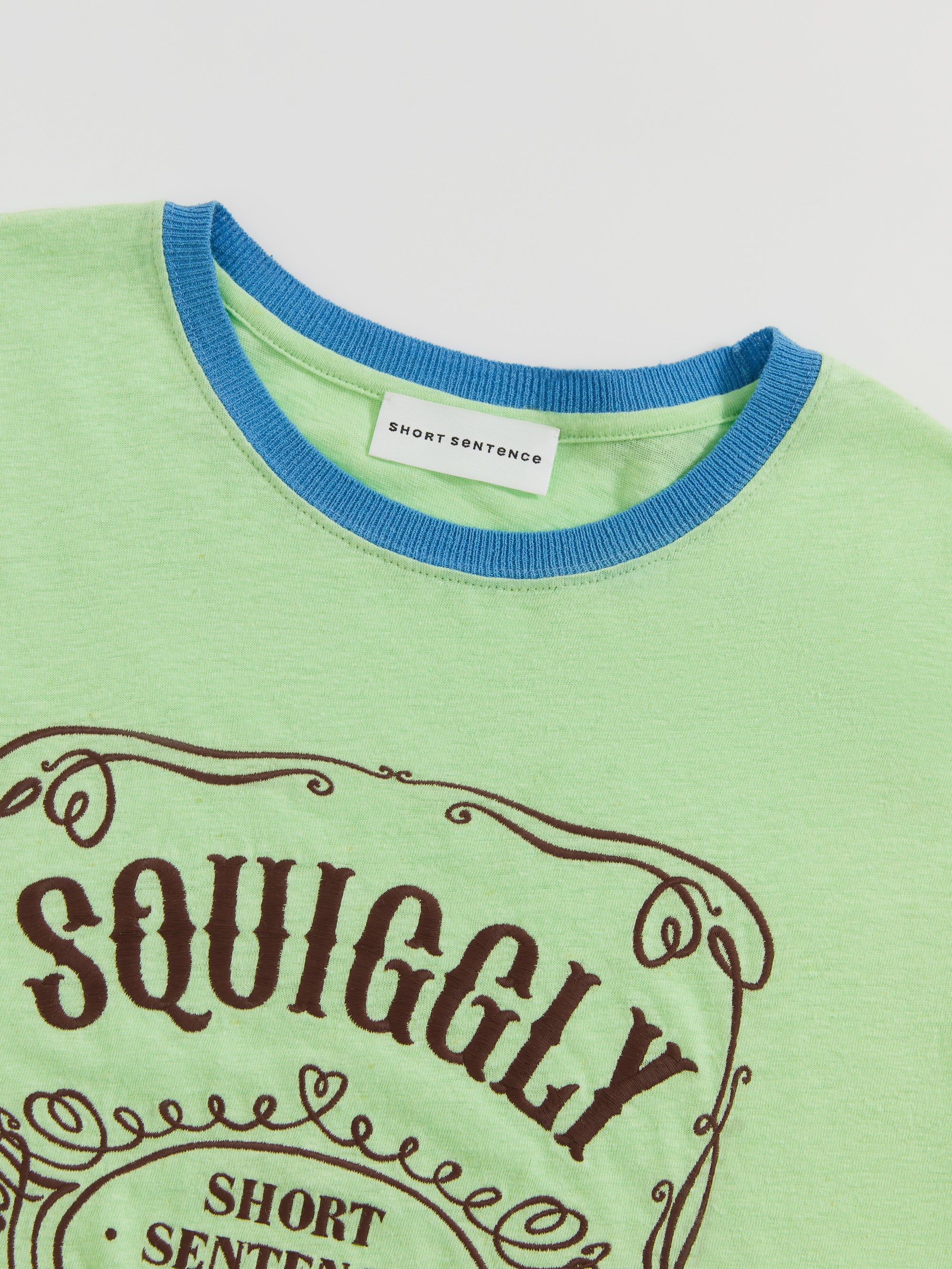 Color-Block Collar Fitted Embroidered T-Shirt