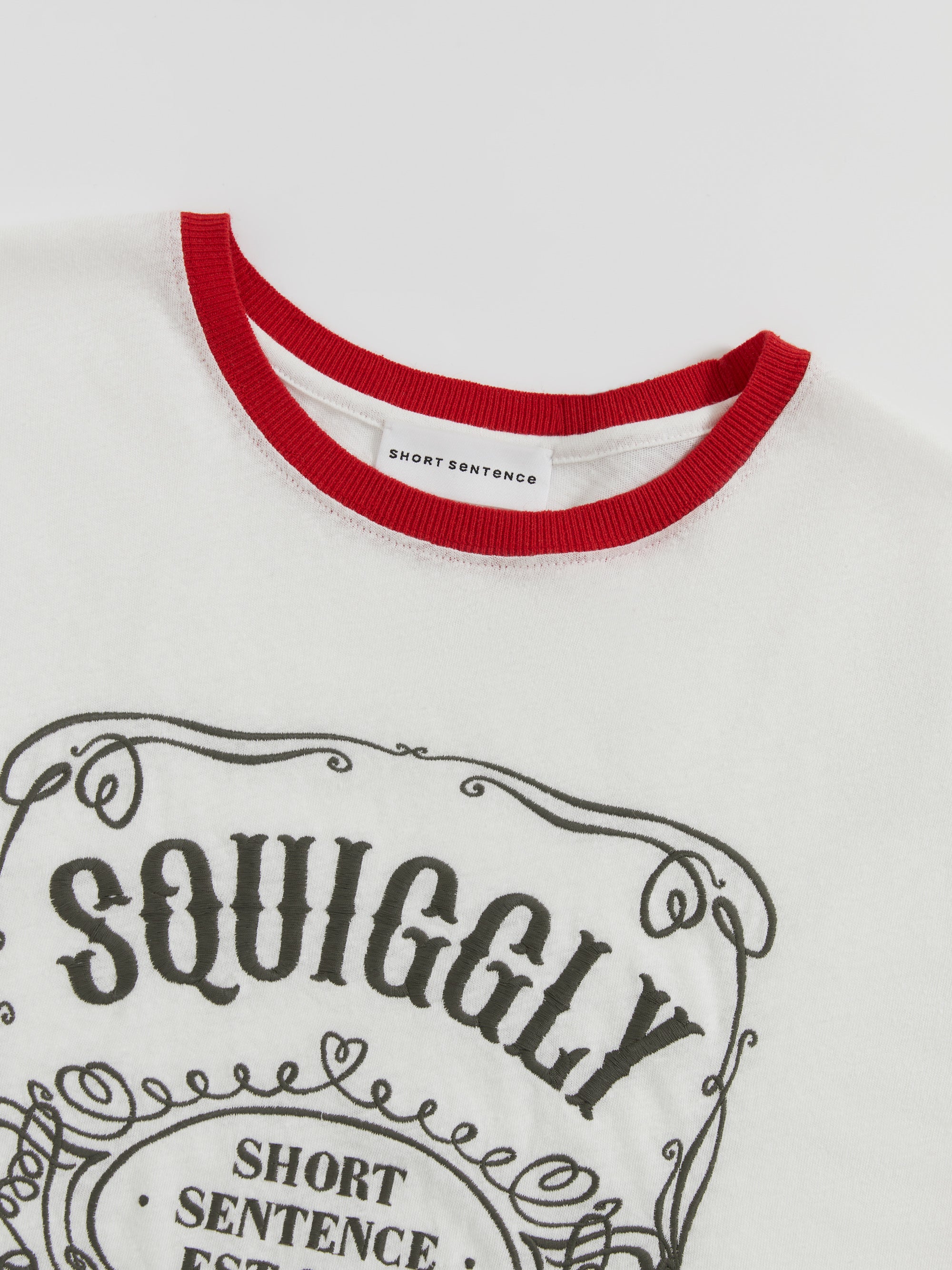 Color-Block Collar Fitted Embroidered T-Shirt