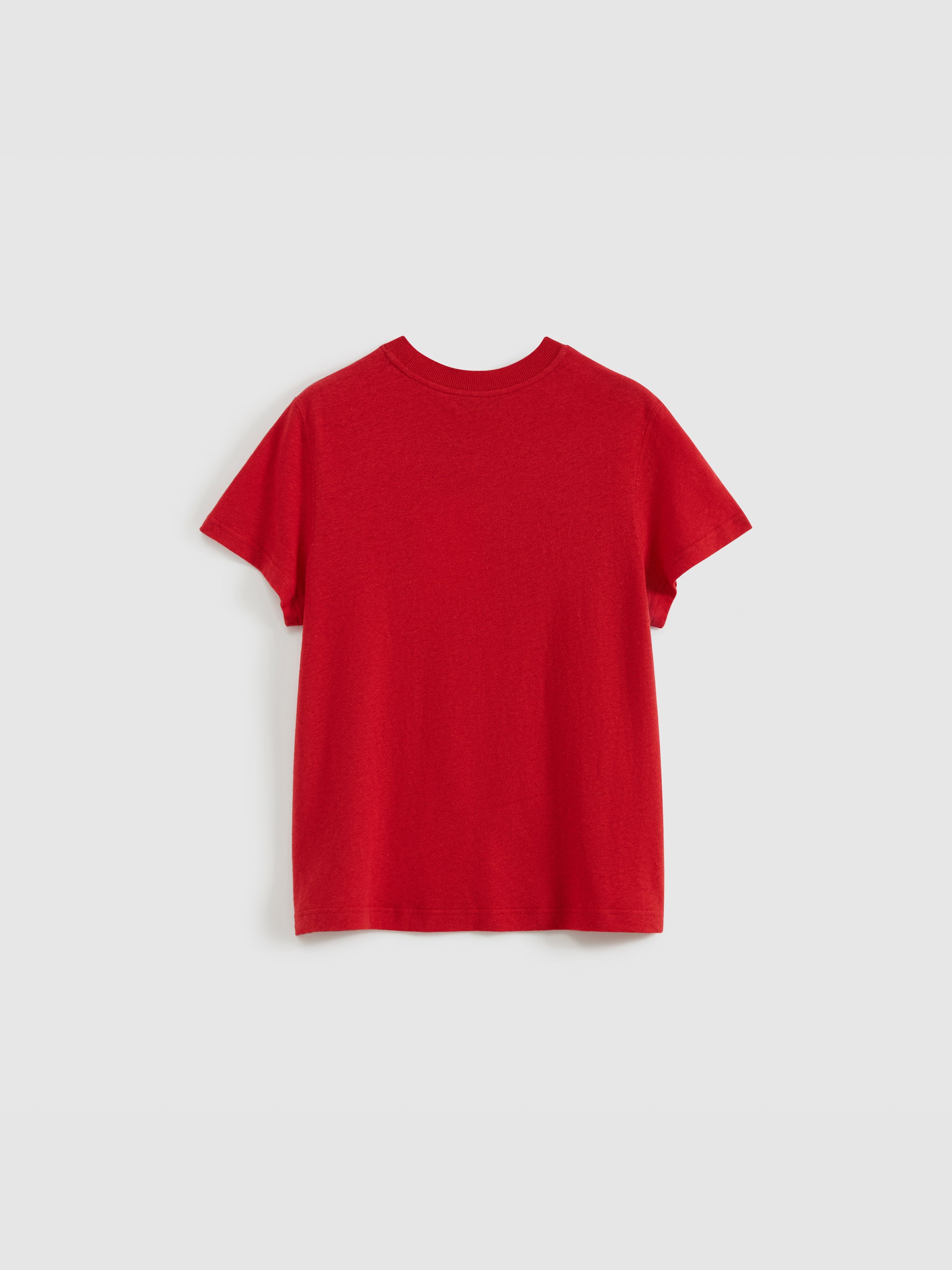 Color-Block Flocked Print T-Shirt