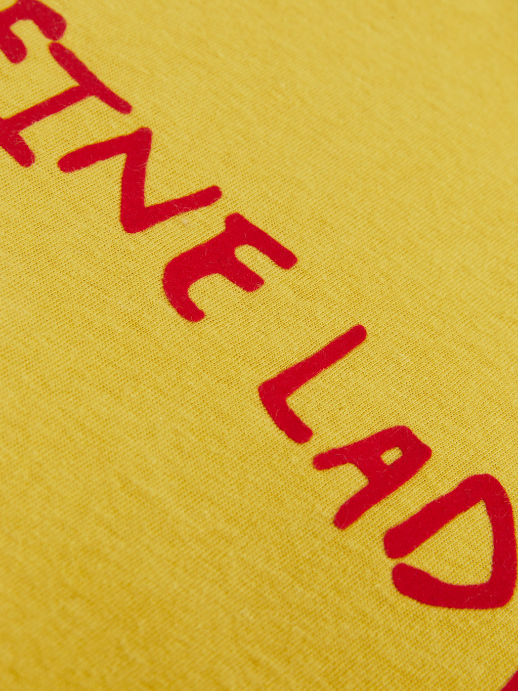 Color-Block Flocked Print T-Shirt