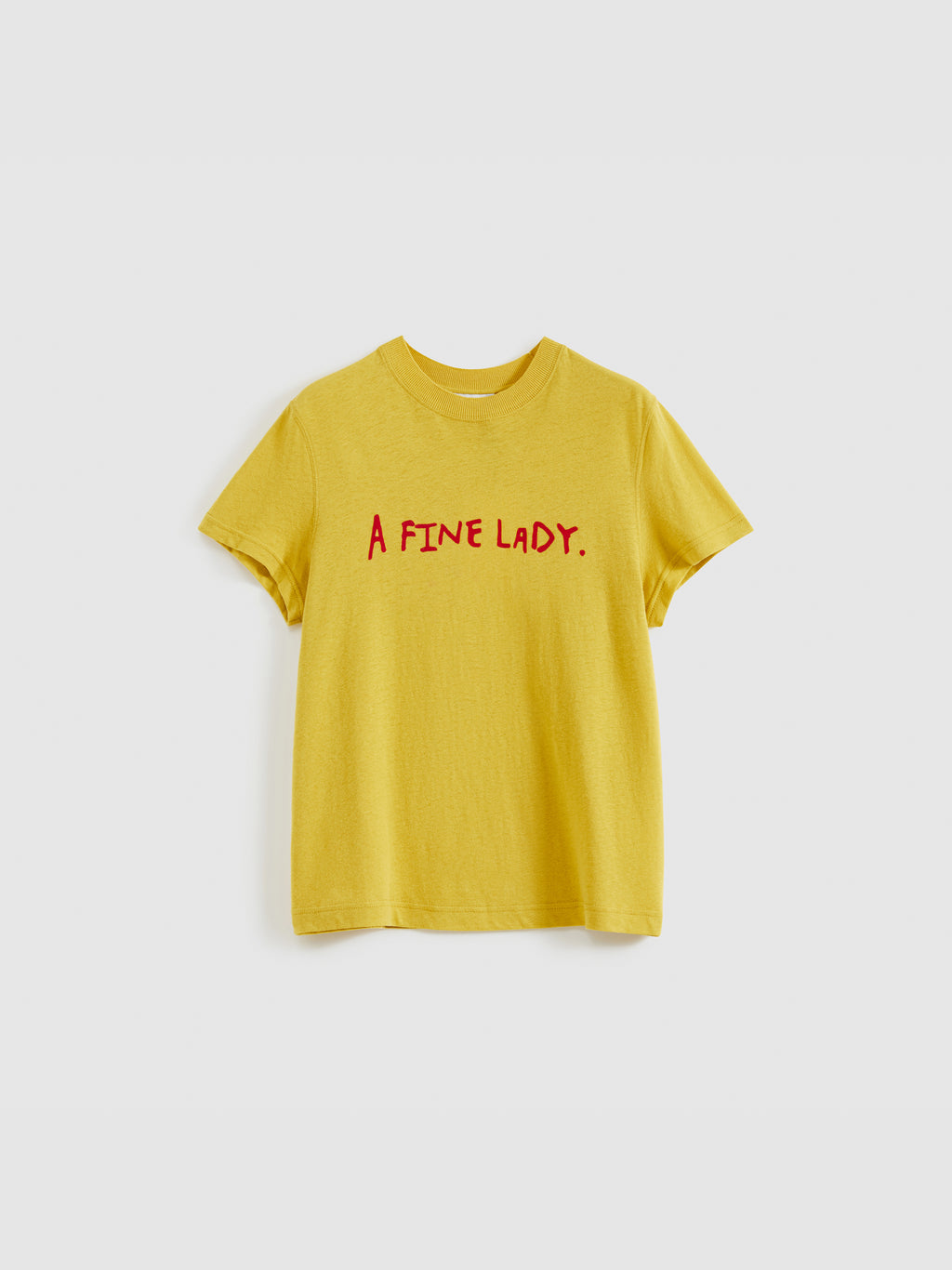 Color-Block Flocked Print T-Shirt