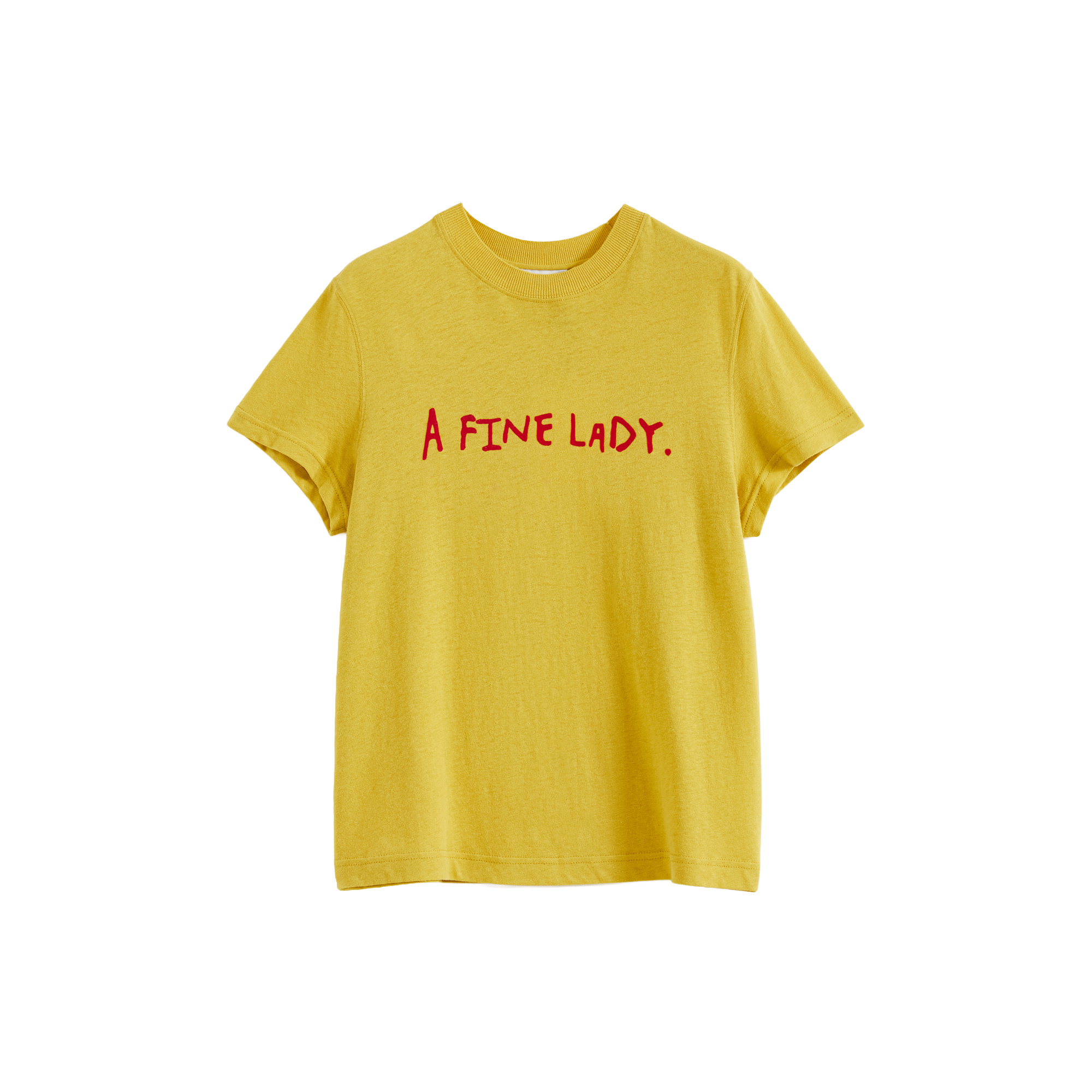 Color-Block Flocked Print T-Shirt