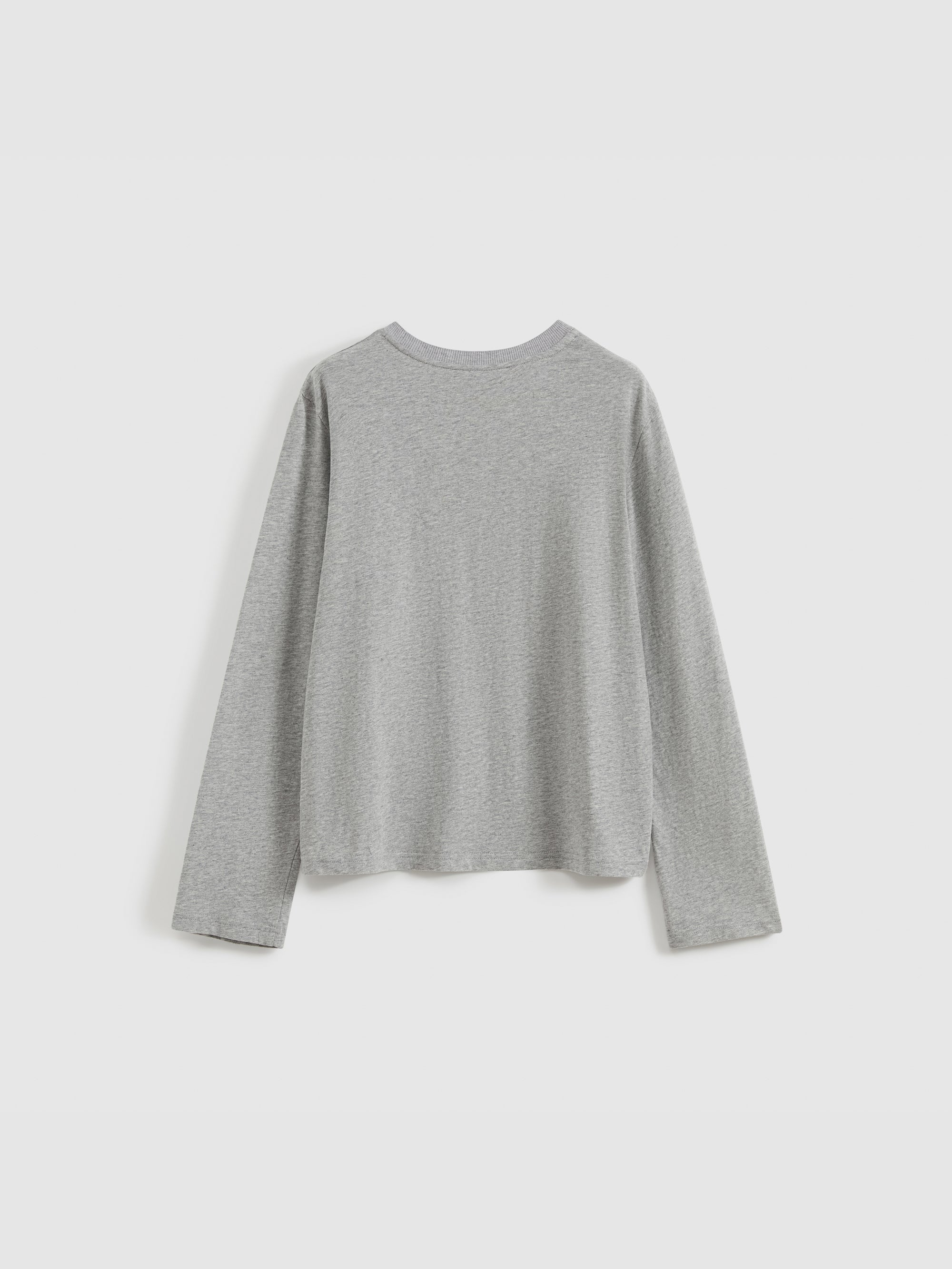 Color-Block Flocked Print Long-Sleeve T-Shirt