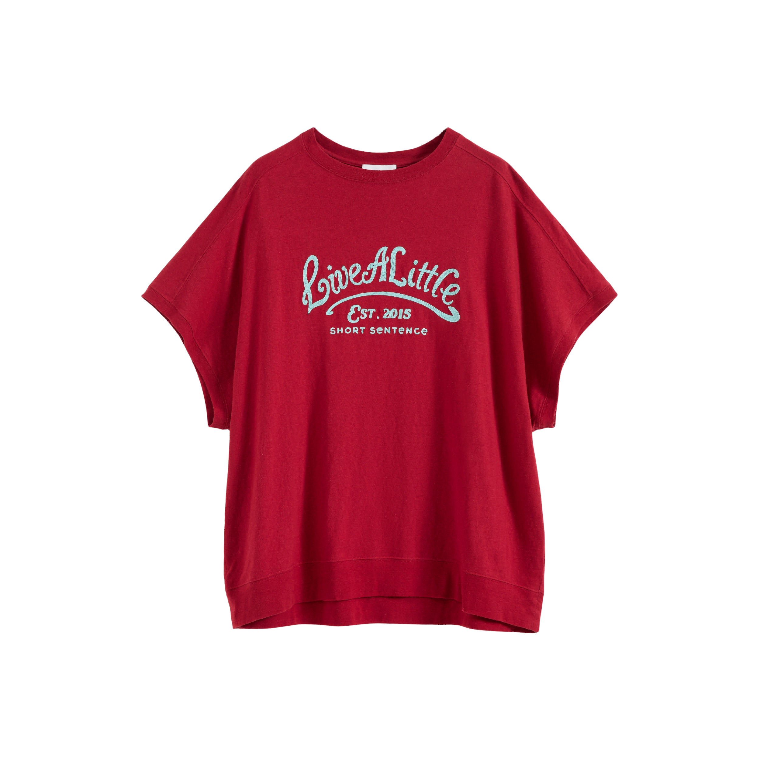 Loose Fit Embroidered T-shirt