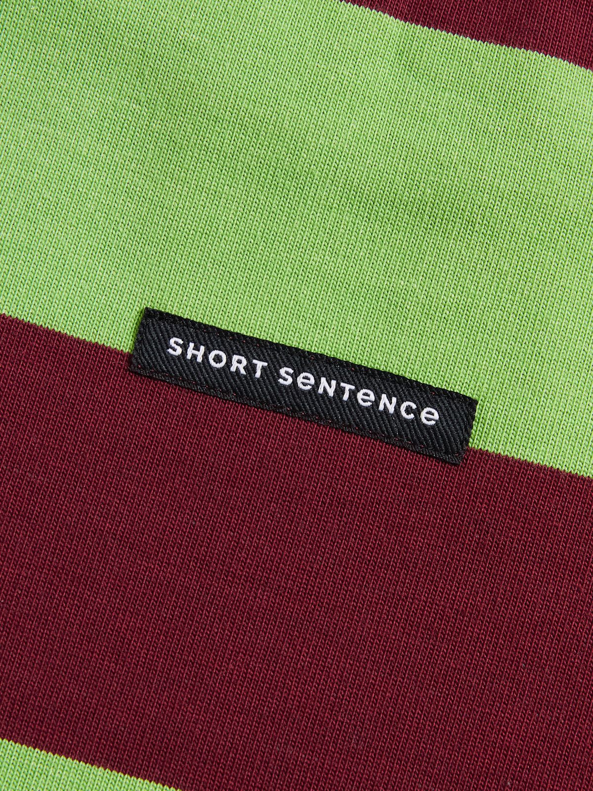 Contrast Stripe Boxy Tee - 4