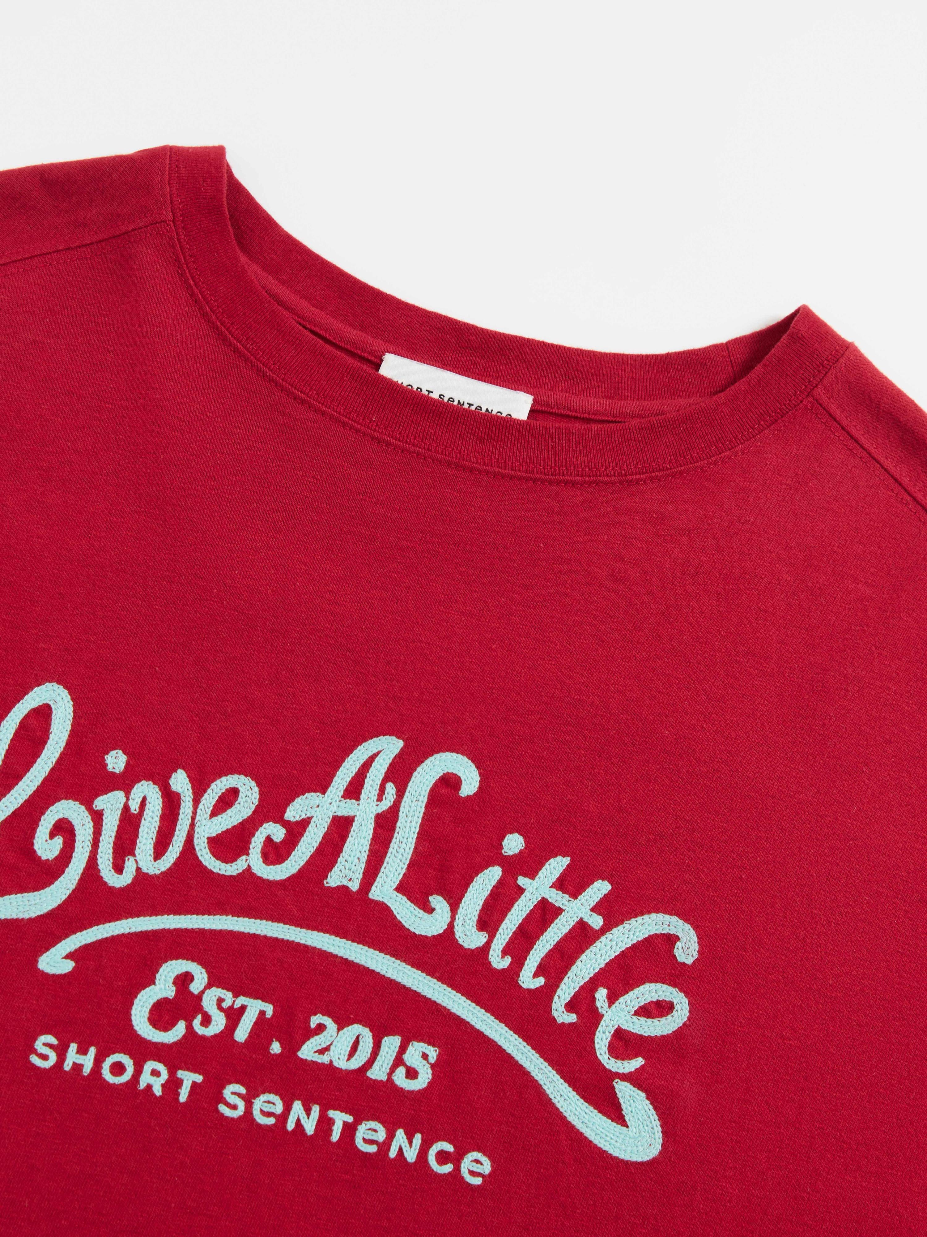 Loose Fit Embroidered T-shirt - 4