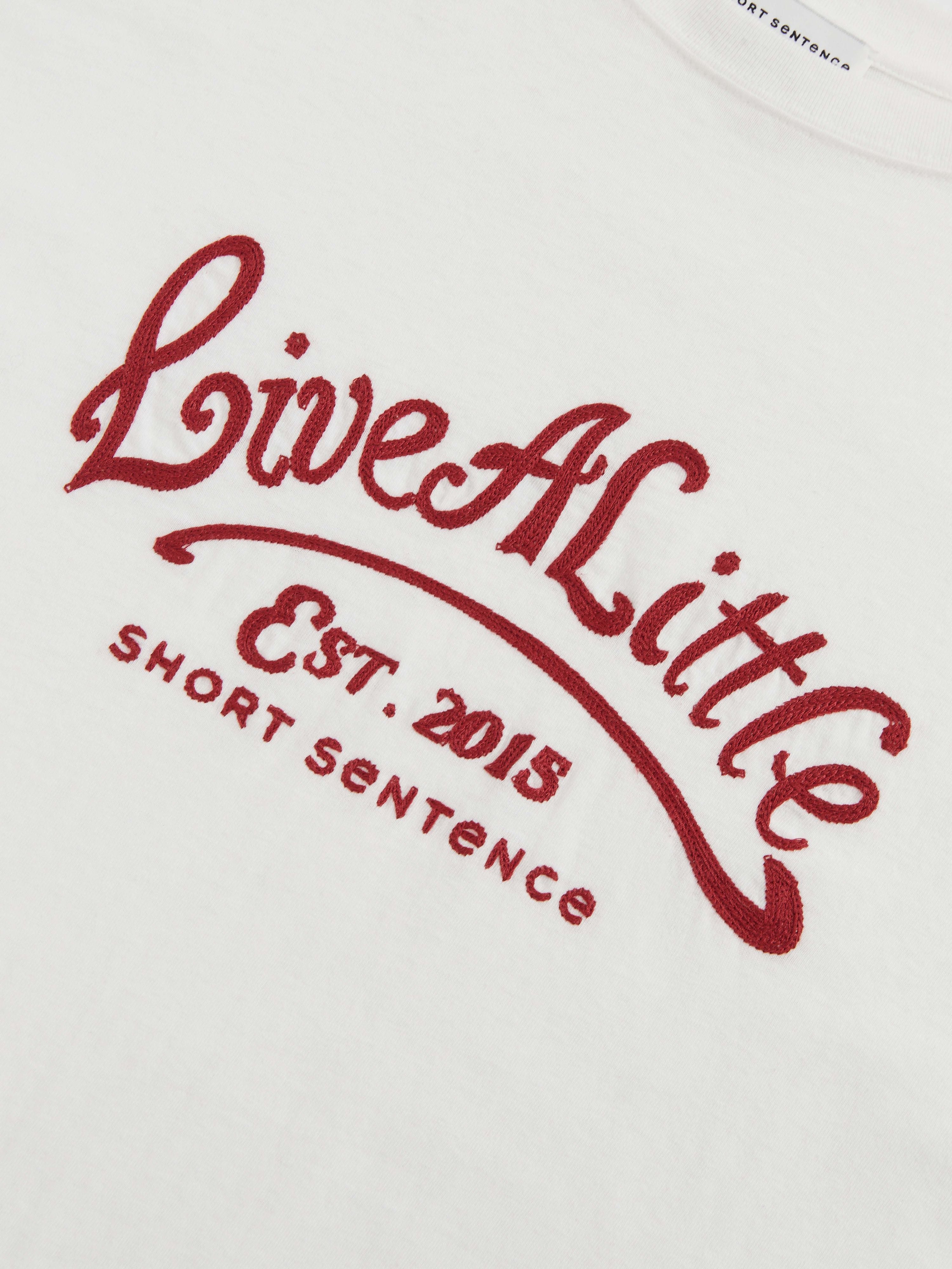 Loose Fit Embroidered T-shirt - 5
