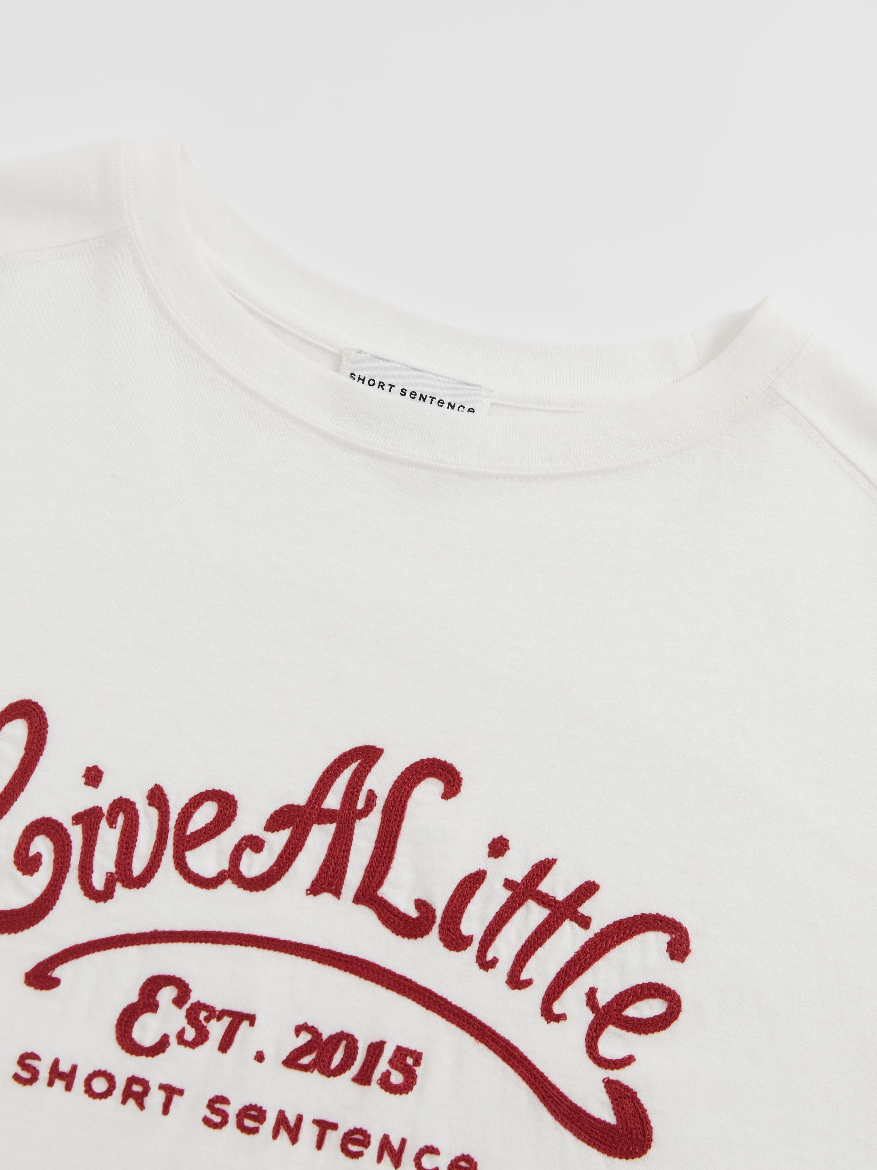 Loose Fit Embroidered T-shirt - 4