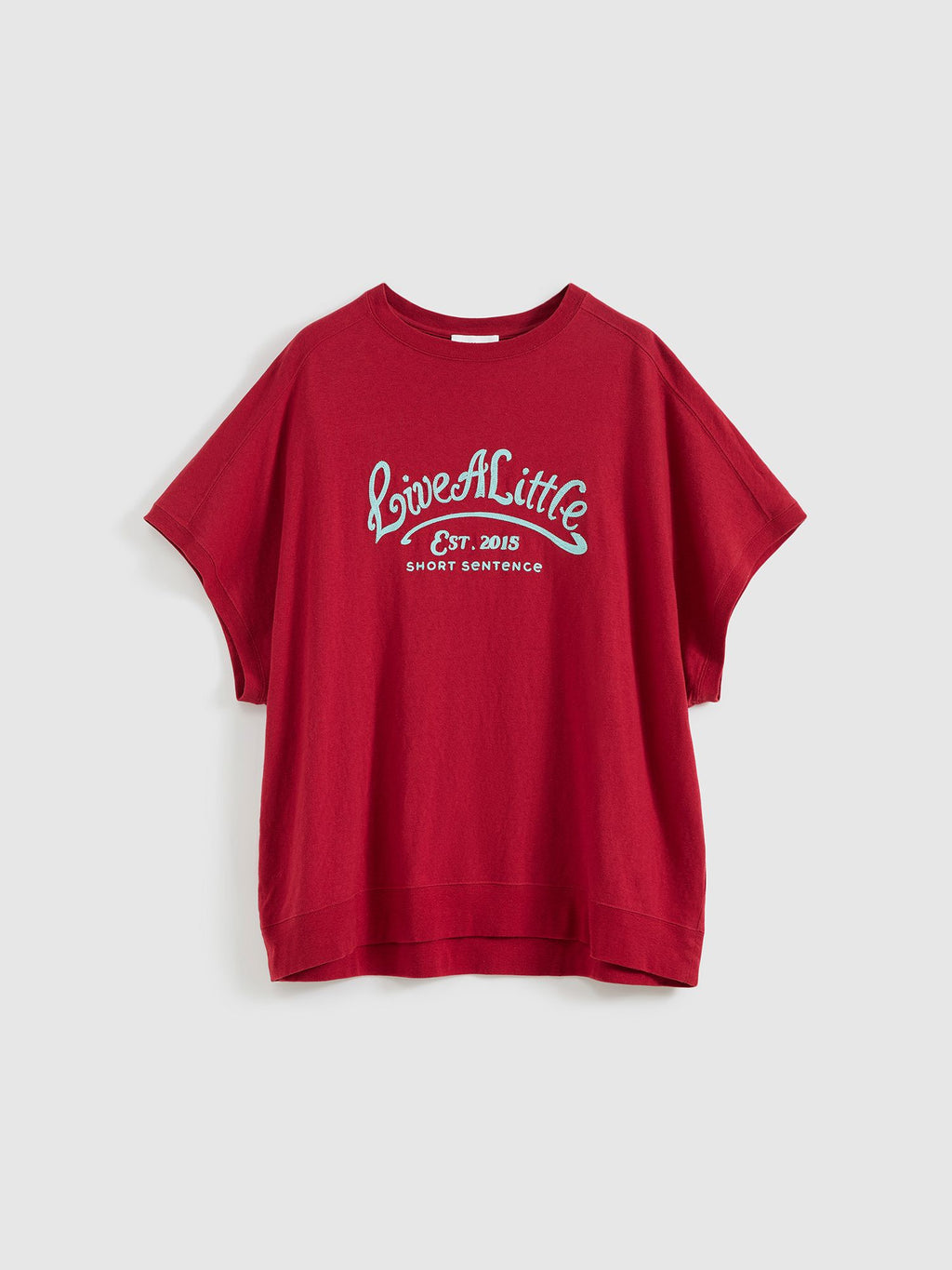 Loose Fit Embroidered T-shirt - 7