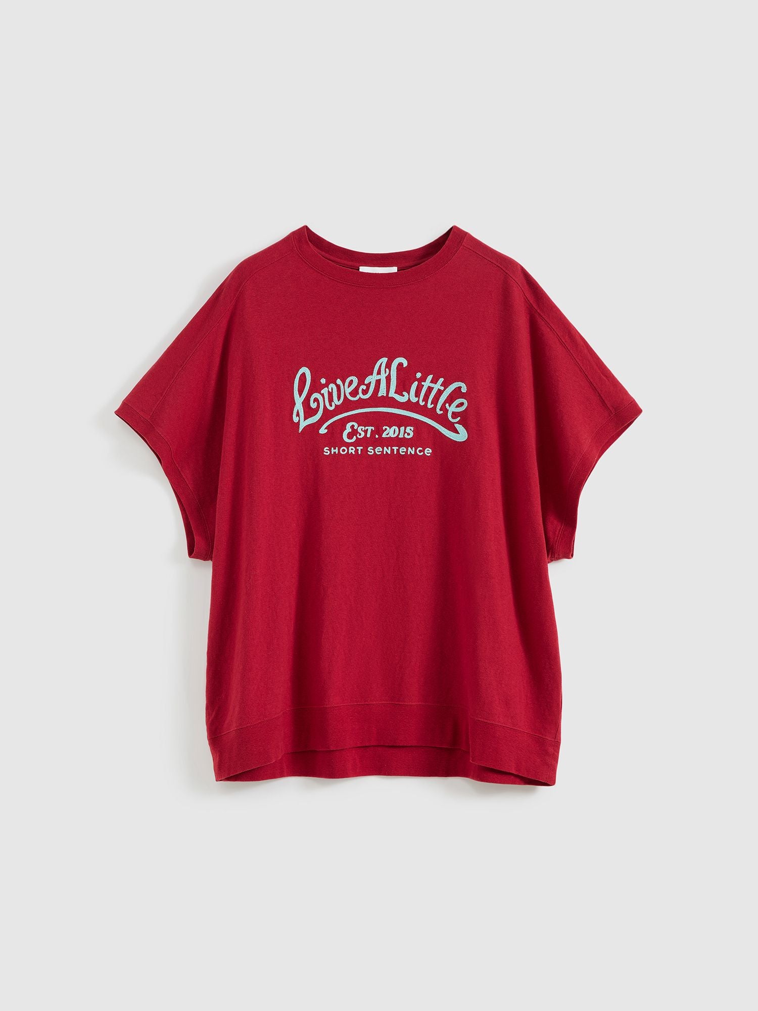 Loose Fit Embroidered T-shirt - 7