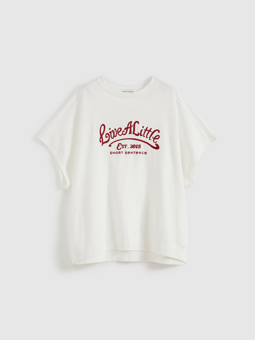 Loose Fit Embroidered T-shirt - 7