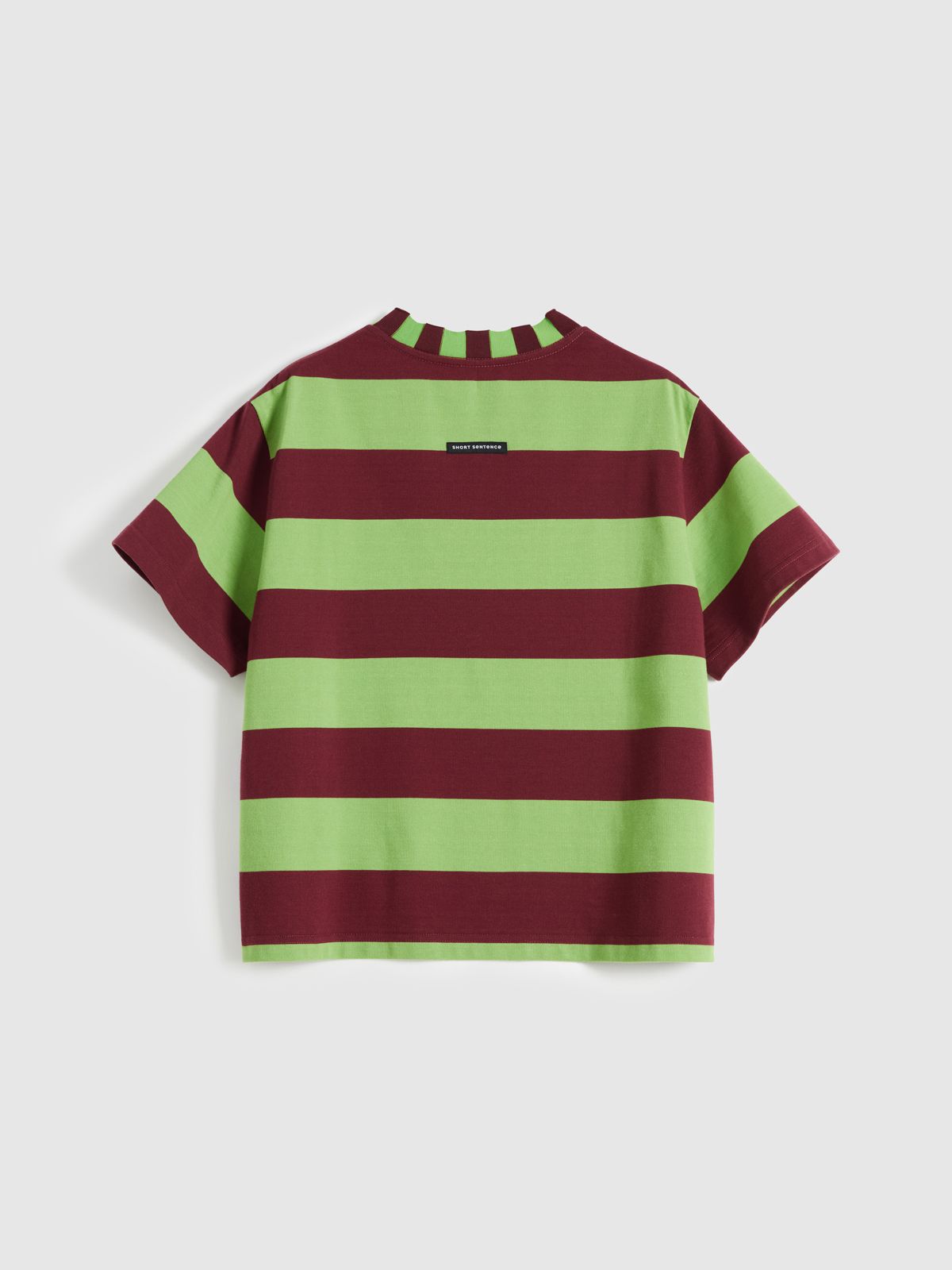 contrast-stripe-boxy-tee-image_back.jpg