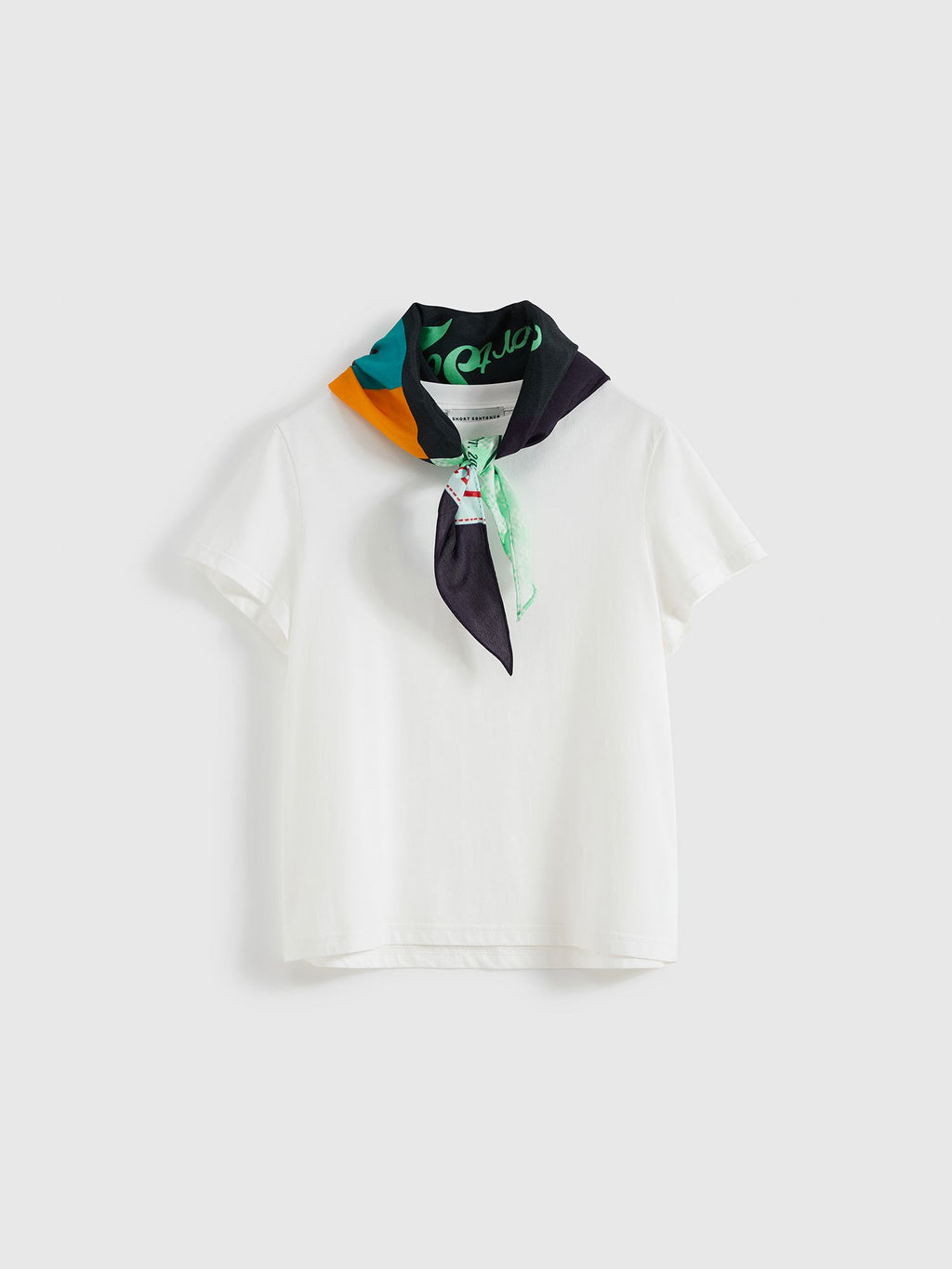 Printed Scarf Collar Fitted T-shirt - 6