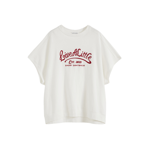 loose-fit-embroidered-t-shirt-1-image_hover.png
