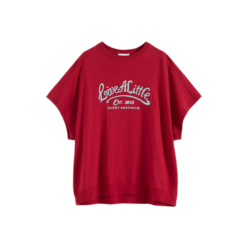 loose-fit-embroidered-t-shirt-image_hover.png